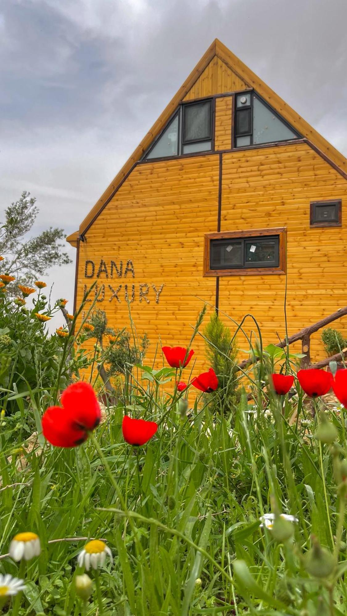 Hotel Dana Luxury Huts Extérieur photo