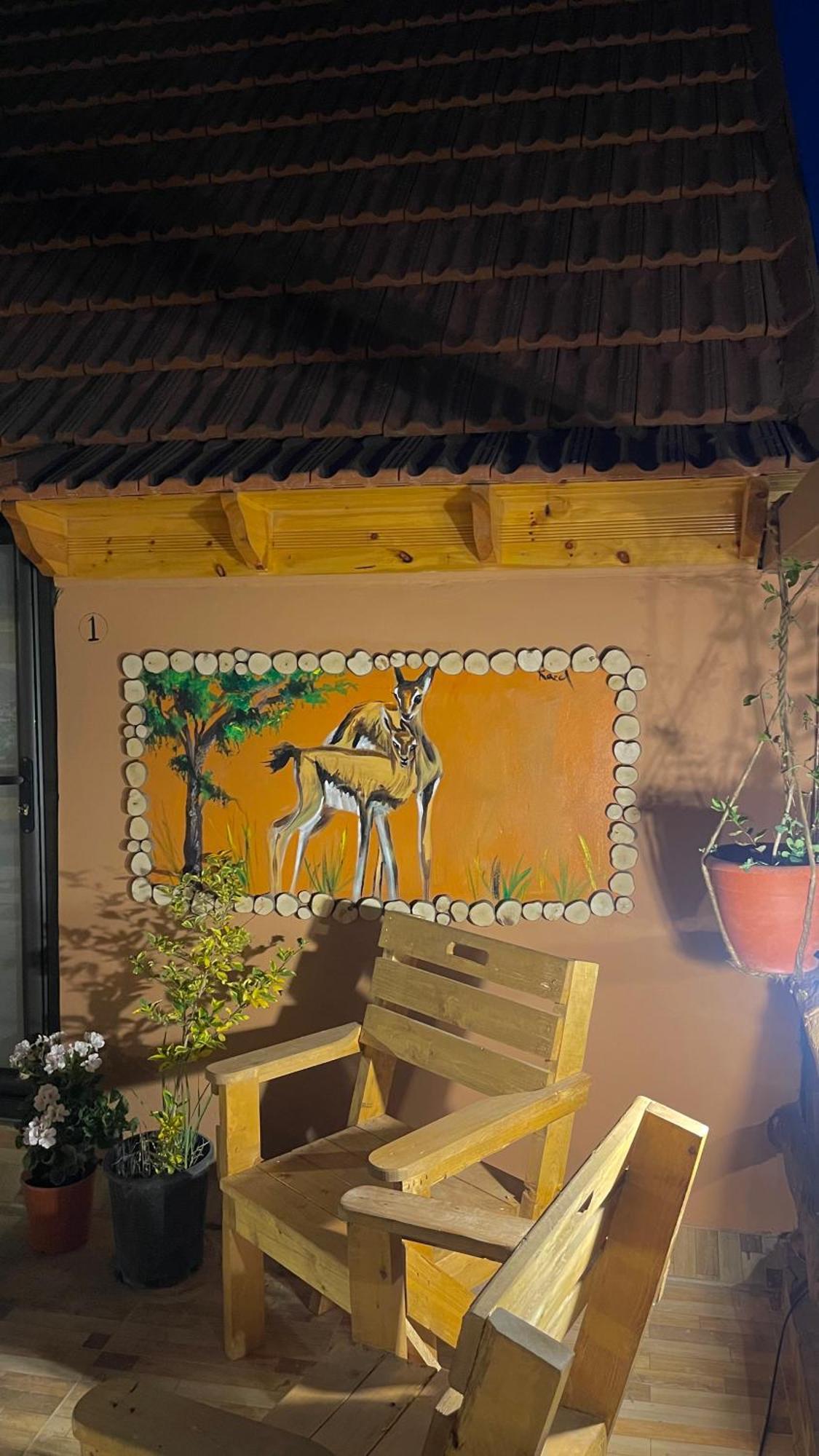 Hotel Dana Luxury Huts Extérieur photo