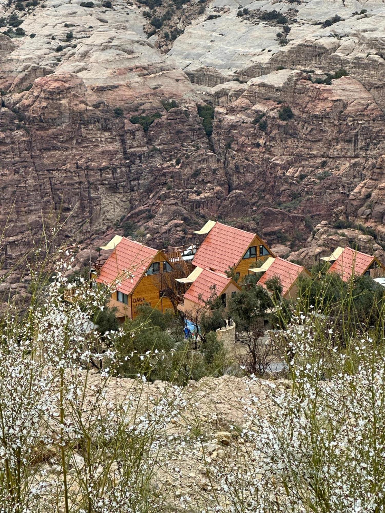 Hotel Dana Luxury Huts Extérieur photo
